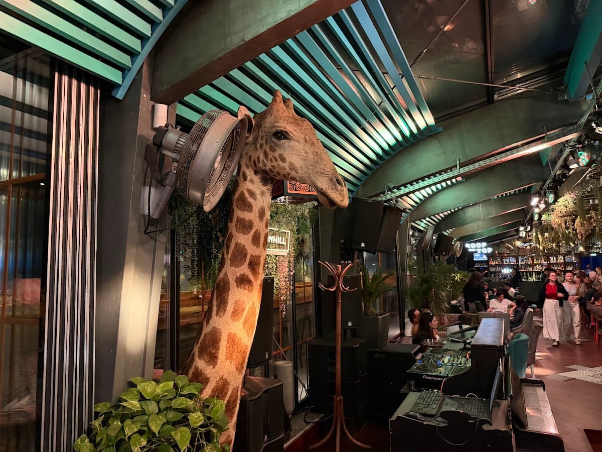 Nomad Skybar 2